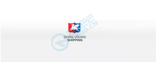 dys_logo